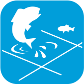 Рыбное хозяйство